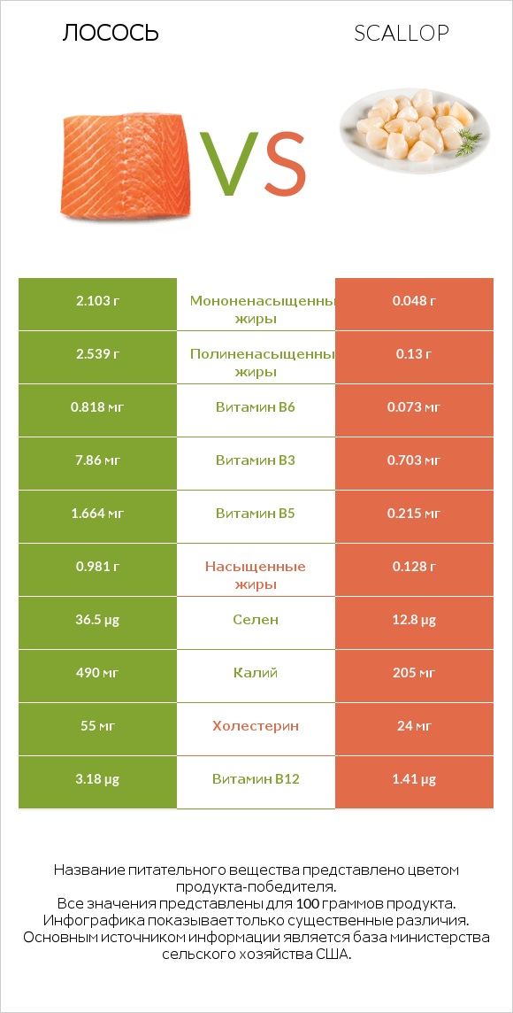 Лосось vs Scallop infographic