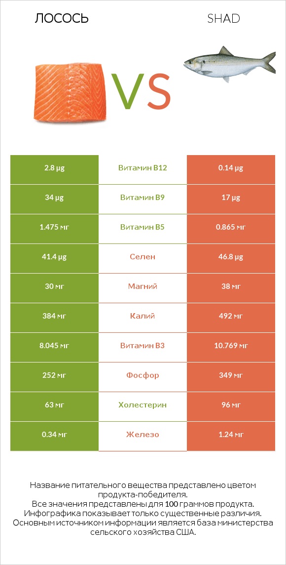 Лосось vs Shad infographic