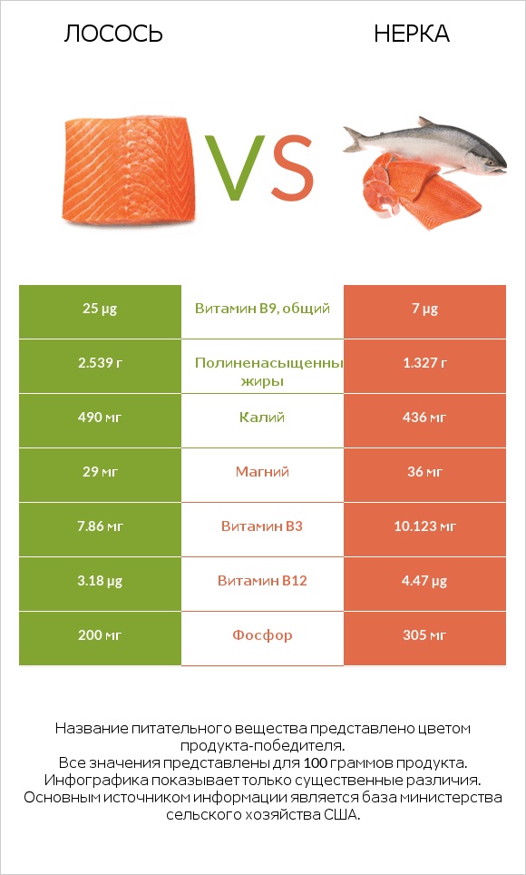 Лосось vs Нерка infographic