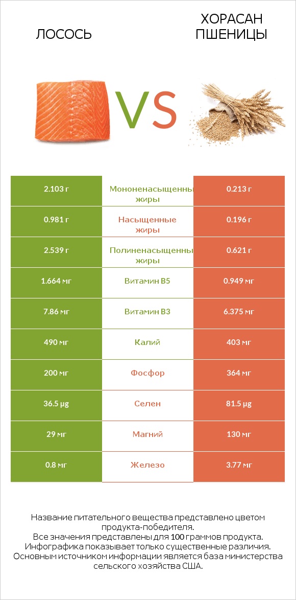 Лосось vs Хорасан пшеницы infographic