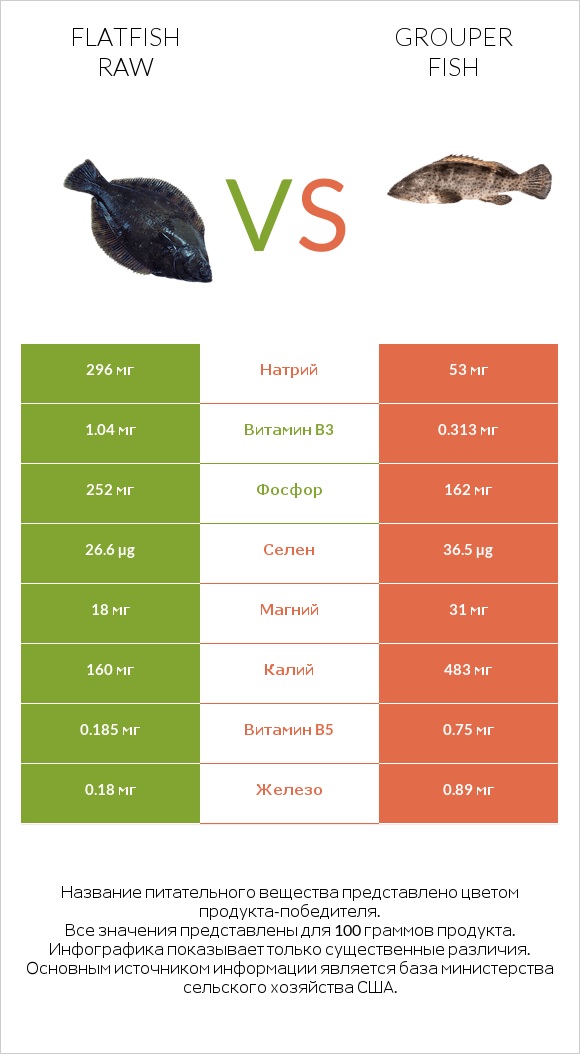 Flatfish raw vs Grouper fish infographic