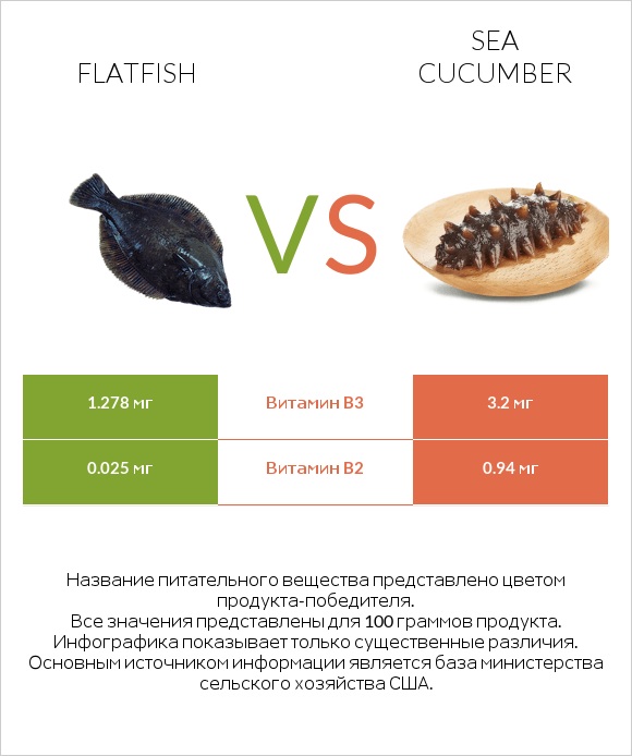 Flatfish vs Sea cucumber infographic