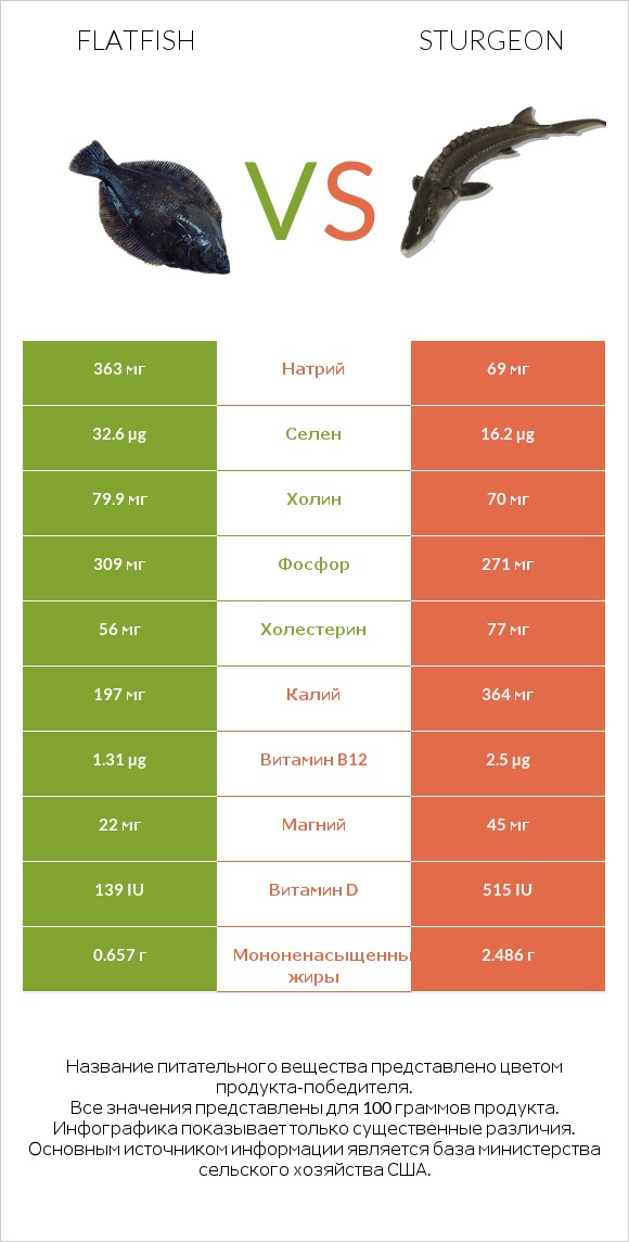 Flatfish vs Sturgeon infographic