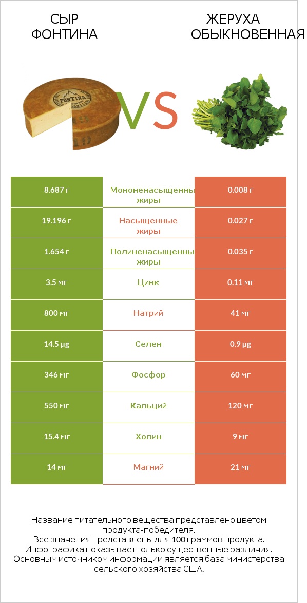 Сыр Фонтина vs Жеруха обыкновенная infographic