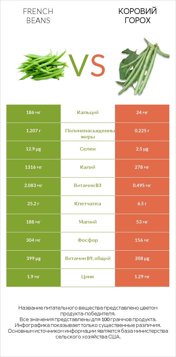 French beans vs Коровий горох infographic