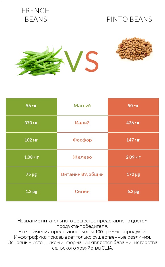 French beans vs Pinto beans infographic