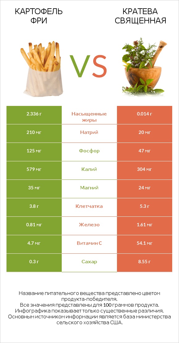 Картофель фри vs Кратева священная infographic