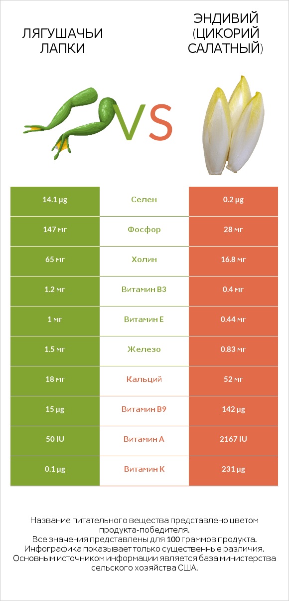 Лягушачьи лапки vs Эндивий (Цикорий салатный)  infographic