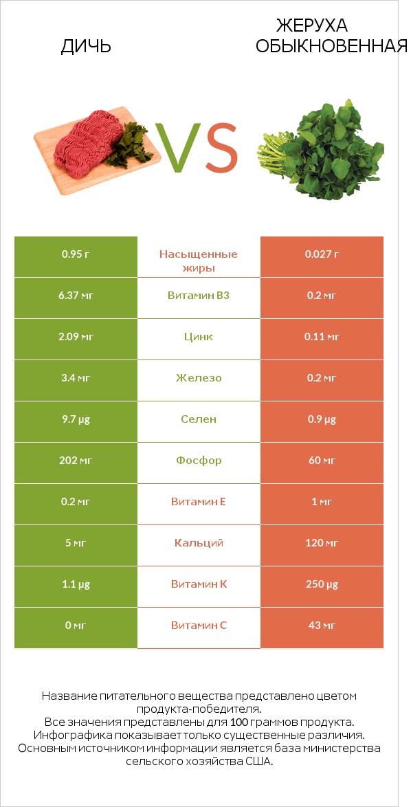 Дичь vs Жеруха обыкновенная infographic