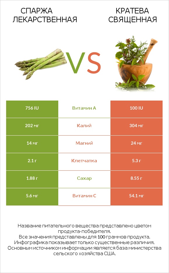 Спаржа лекарственная vs Кратева священная infographic