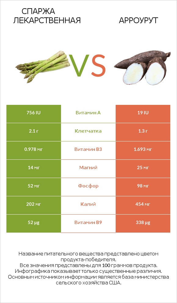 Спаржа лекарственная vs Арроурут infographic