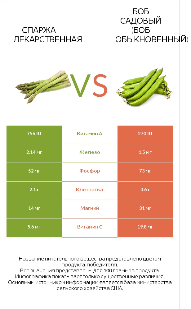 Спаржа лекарственная vs Бобы садовые infographic