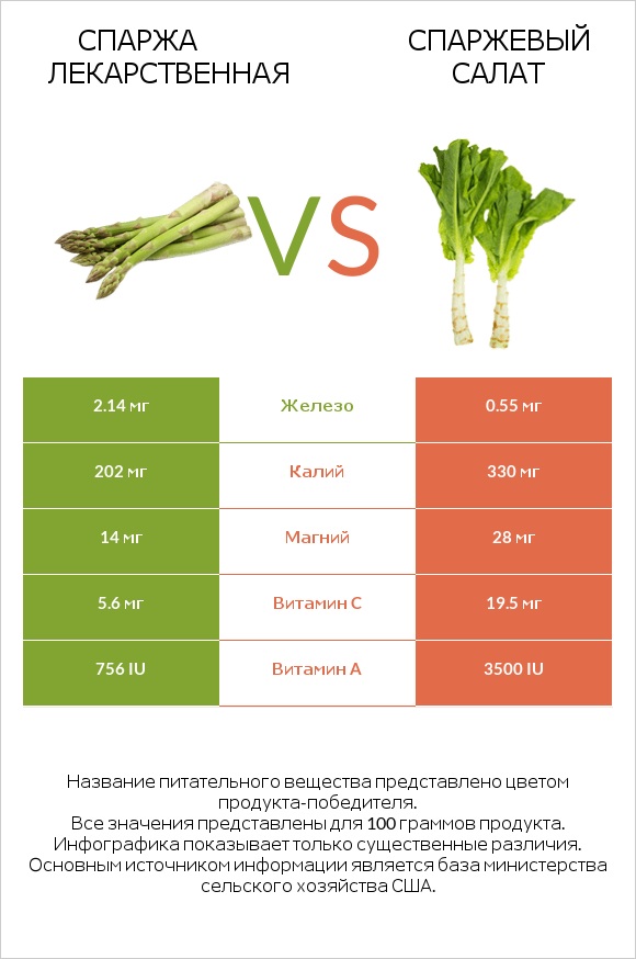 Спаржа лекарственная vs Celtuce infographic