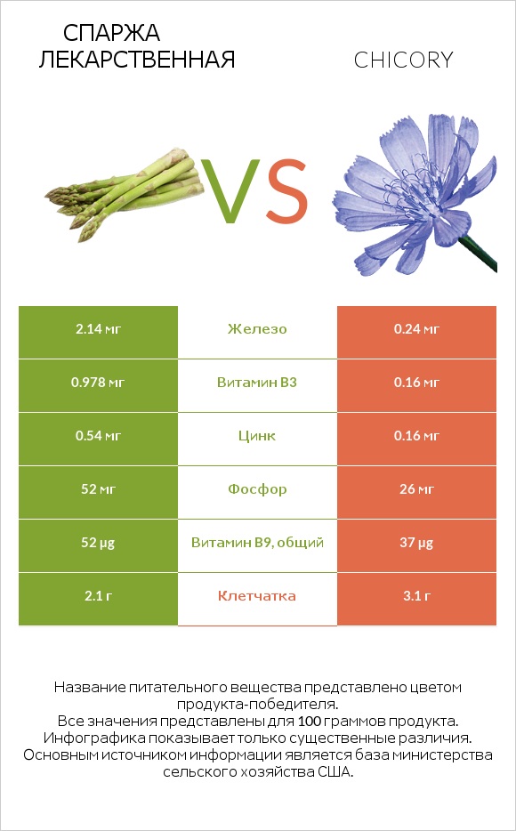Спаржа лекарственная vs Chicory infographic