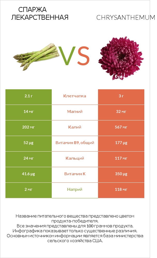Спаржа лекарственная vs Chrysanthemum infographic