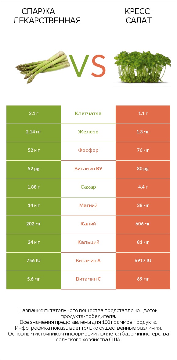 Спаржа лекарственная vs Кресс-салат infographic