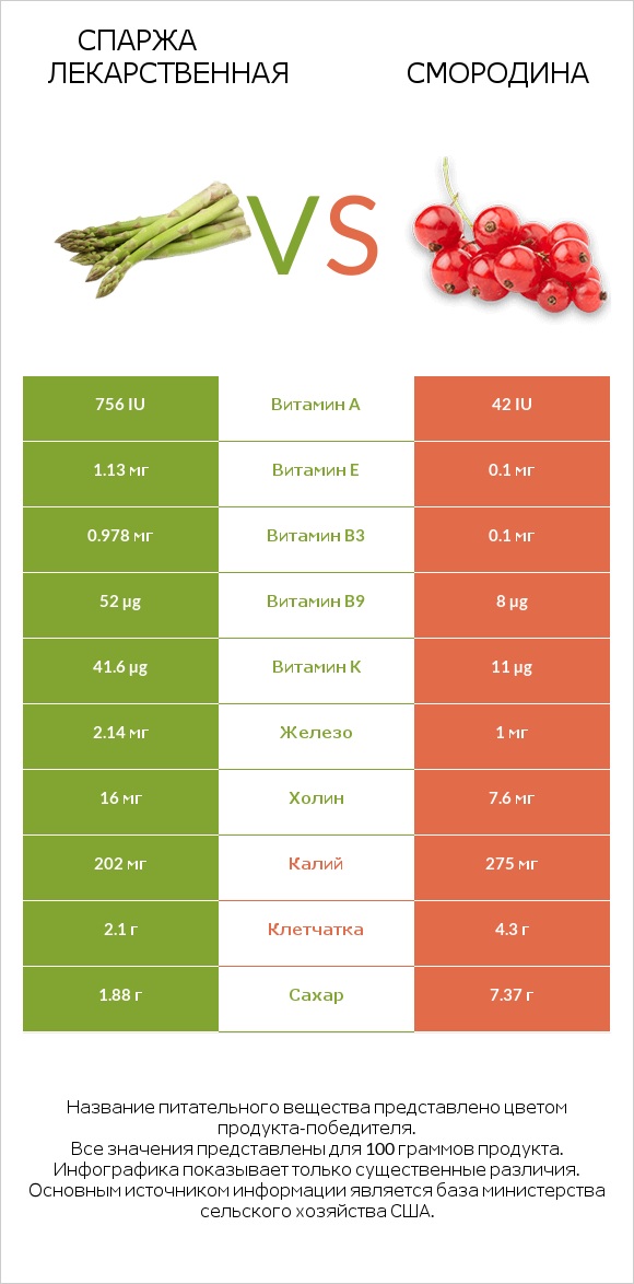 Спаржа лекарственная vs Смородина infographic