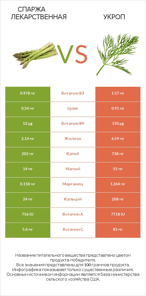 Спаржа лекарственная vs Укроп infographic