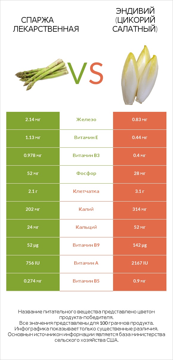 Спаржа лекарственная vs Эндивий infographic