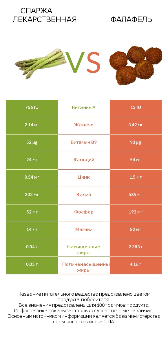 Спаржа лекарственная vs Фалафель infographic