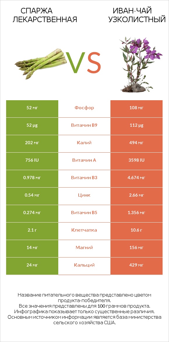 Спаржа лекарственная vs Иван-чай узколистный infographic