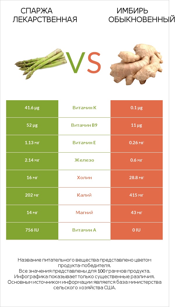 Спаржа лекарственная vs Имбирь infographic