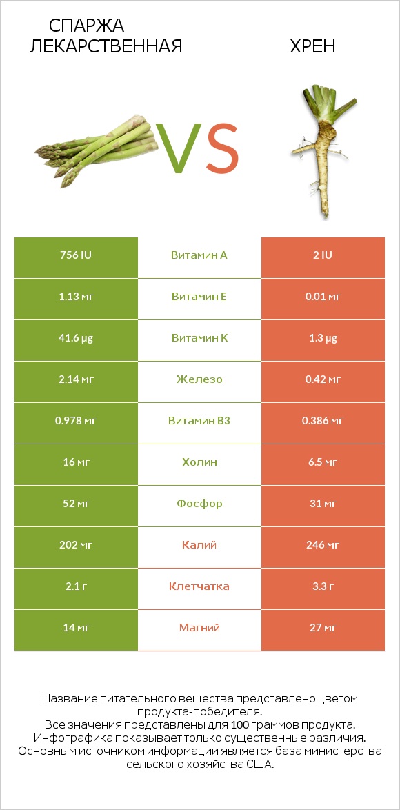 Спаржа лекарственная vs Хрен infographic