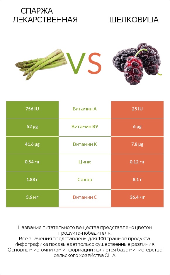 Спаржа лекарственная vs Шелковица infographic
