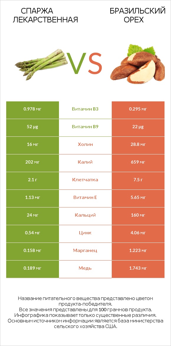Спаржа лекарственная vs Бразильский орех infographic