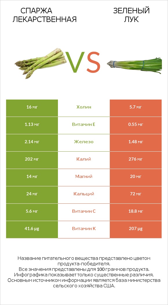 Спаржа лекарственная vs Зеленый лук infographic