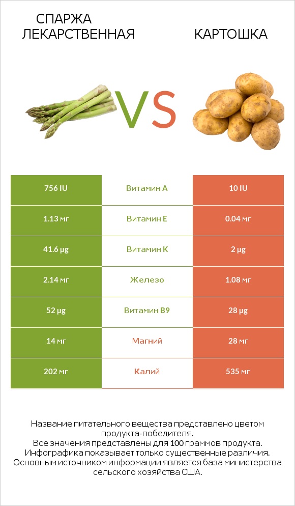 Спаржа лекарственная vs Картошка infographic