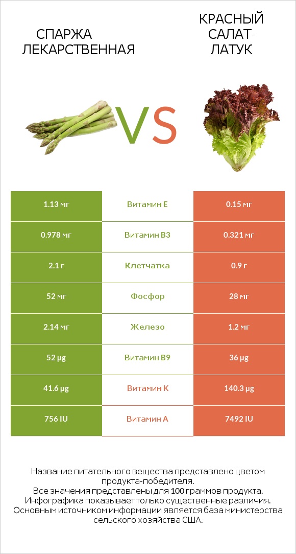 Спаржа лекарственная vs Red leaf lettuce infographic