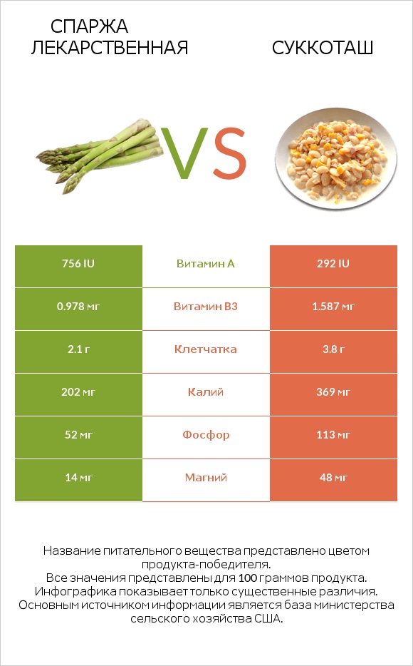 Спаржа лекарственная vs Суккоташ infographic