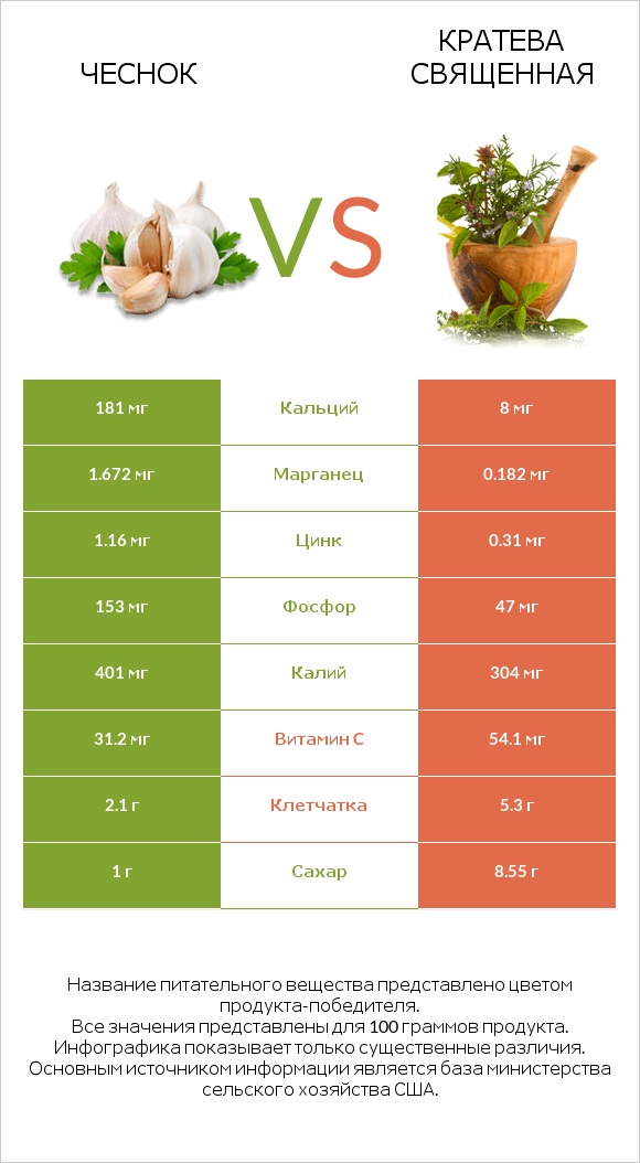 Чеснок vs Кратева священная infographic