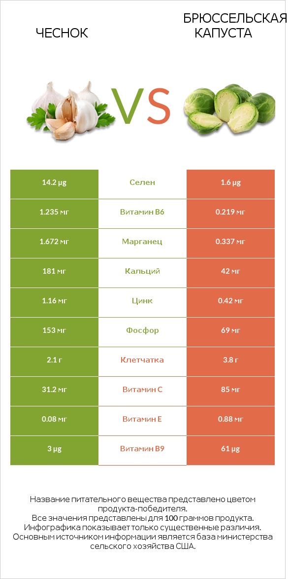 Чеснок vs Брюссельская капуста infographic