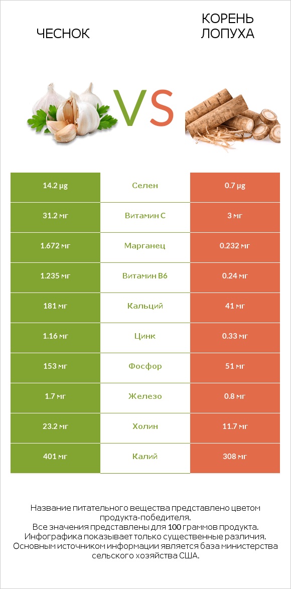 Чеснок vs Корень лопуха infographic