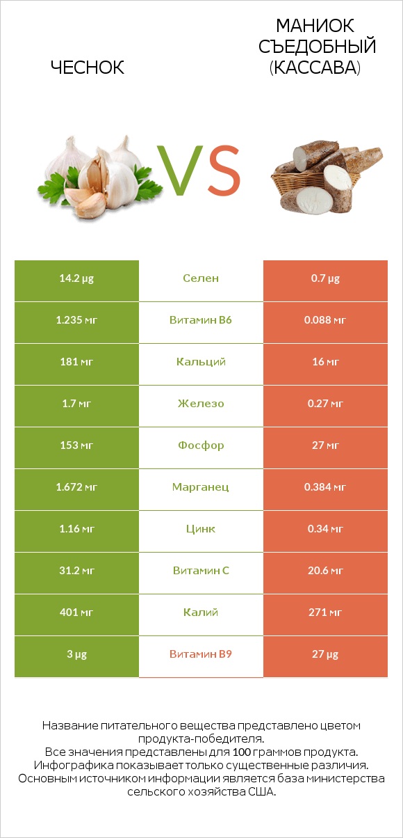 Чеснок vs Маниок съедобный infographic