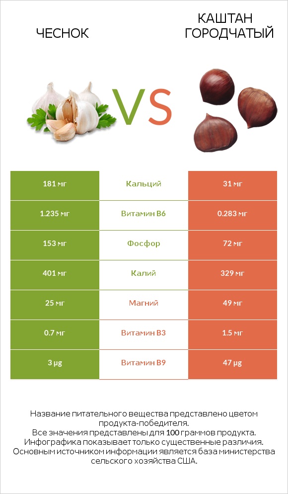Чеснок vs Каштан городчатый infographic