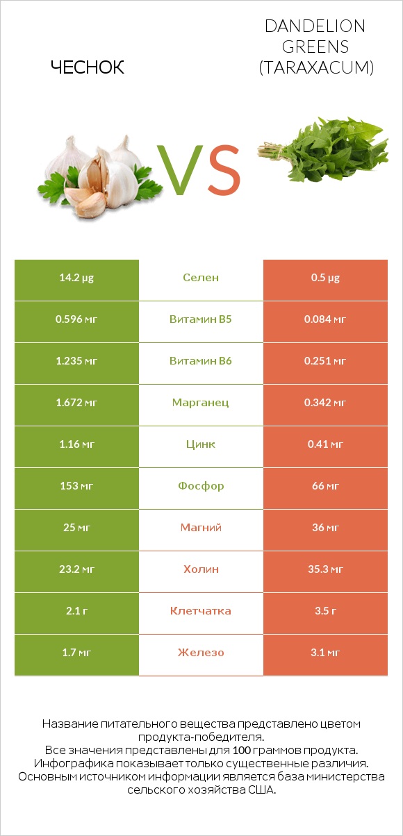 Чеснок vs Dandelion greens infographic