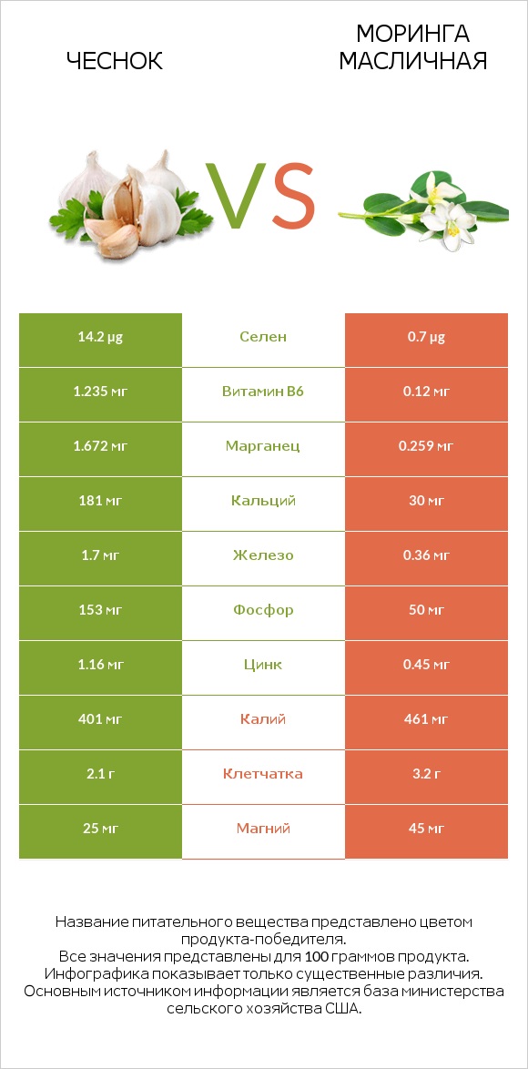 Чеснок vs Моринга масличная infographic