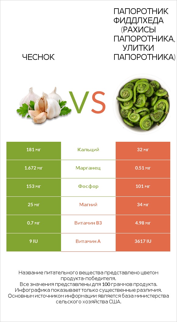 Чеснок vs Папоротник Фиддлхеда (Рахисы папоротника, улитки папоротника) infographic