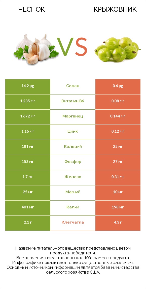 Чеснок vs Крыжовник infographic