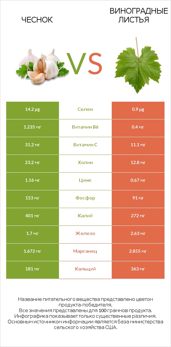 Чеснок vs Виноградные листья infographic