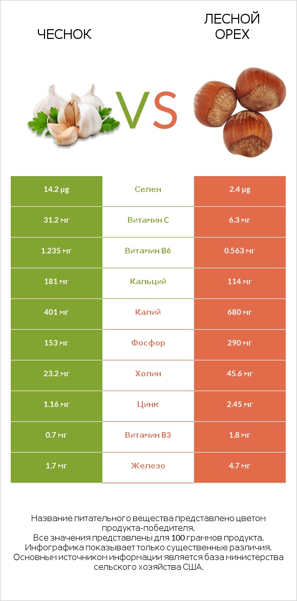 Чеснок vs Лесной орех infographic