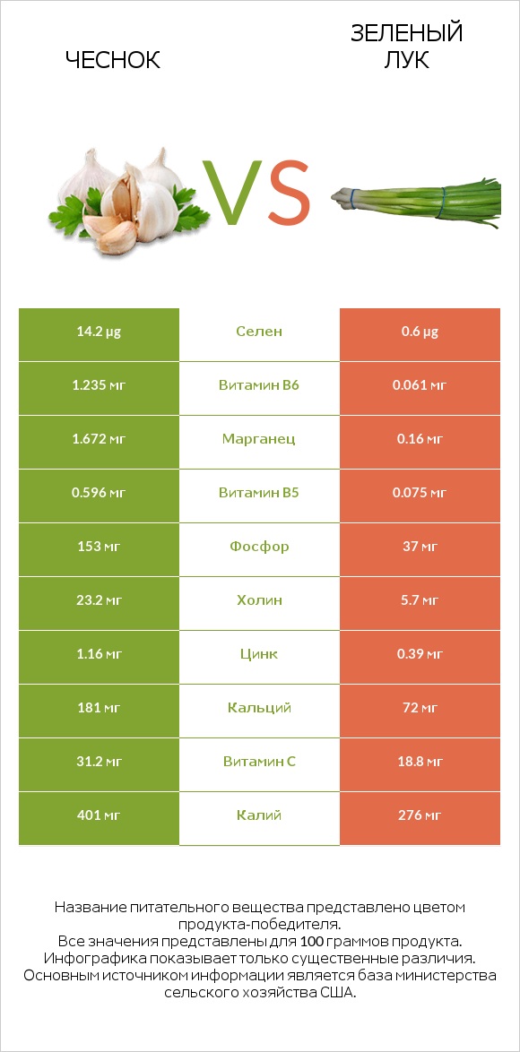 Чеснок vs Зеленый лук infographic