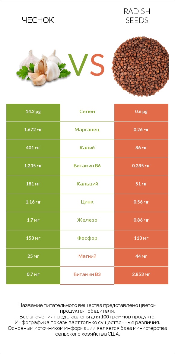 Чеснок vs Radish seeds infographic