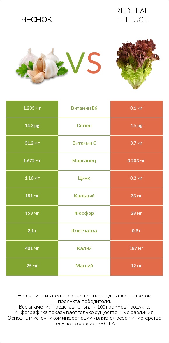 Чеснок vs Red leaf lettuce infographic