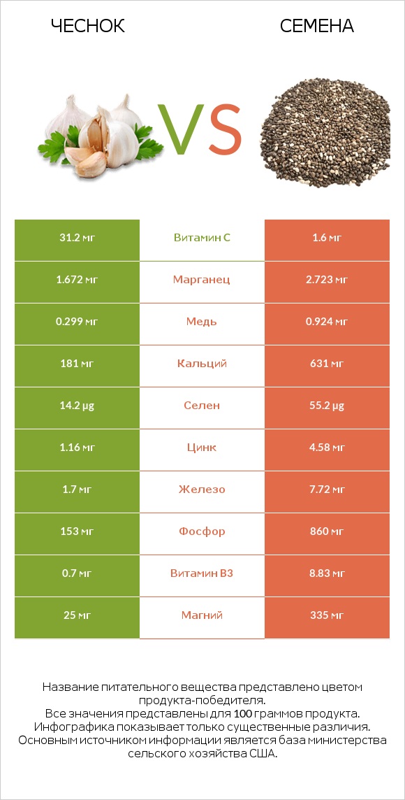 Чеснок vs Семена infographic