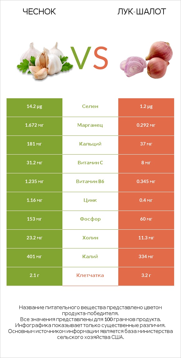 Чеснок vs Лук-шалот infographic