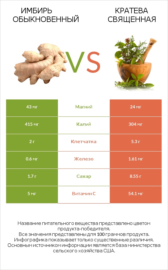 Имбирь обыкновенный vs Кратева священная infographic